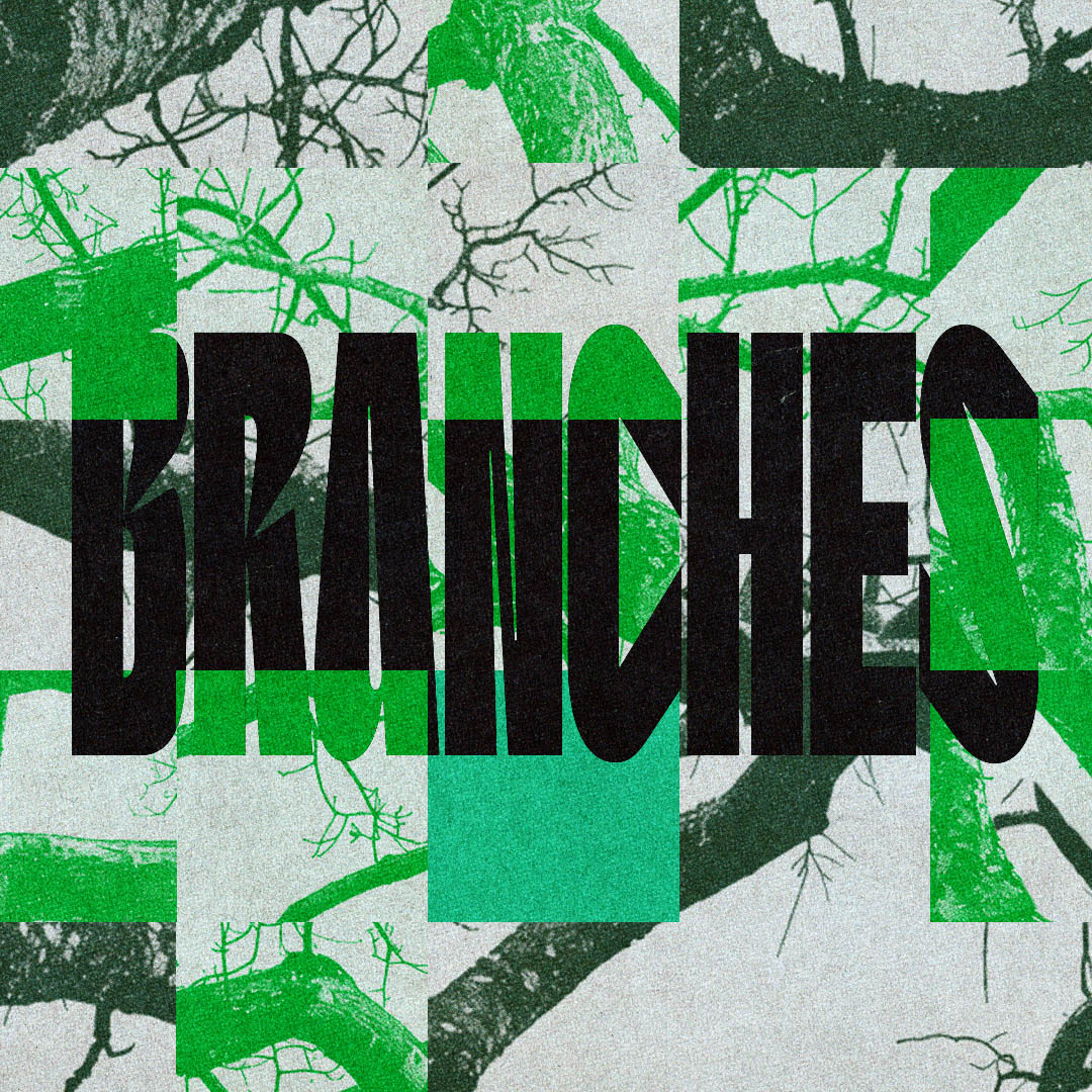 Branches_Square